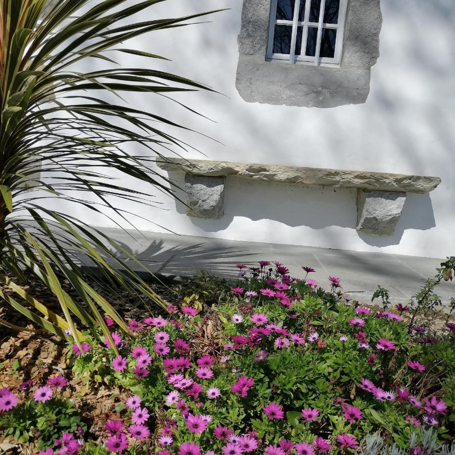 Villa Xaran Erdian Espelette Bagian luar foto